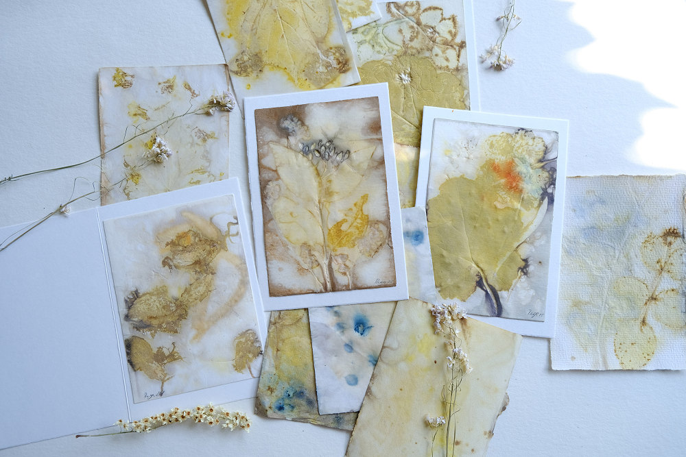 Workshop mit Anette Rega: ECOPRINT ON PAPER Workshop mit Anette Rega: ECOPRINT ON PAPER